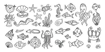 impostato di vettore mano disegnato oceano animali e pesce, tropicale mare schema scarabocchio collezione, subacqueo vita acquario per bambini