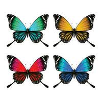 vettore colorato farfalla realistico isolato su bianca sfondo