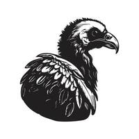 avvoltoio, Vintage ▾ logo linea arte concetto nero e bianca colore, mano disegnato illustrazione vettore
