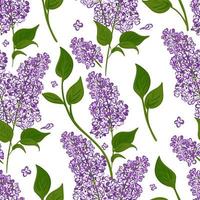 modello senza cuciture di rami lilla con foglie verdi. sfondo vettoriale fiori viola in fiore disegnati a mano