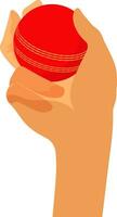 illustrazione di un' mano Tenere rosso cricket sfera. vettore