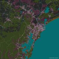 vettore città carta geografica di Newcastle nuovo Sud Galles Australia