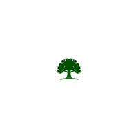 quercia albero logo design azione vettore