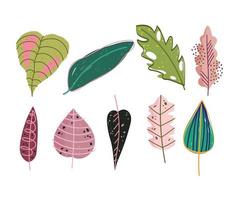 doodle contemporaneo, set di foglie diverse fogliame natura foliage vettore