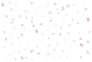 realistico ciliegia petali. vettore illustrazione