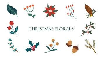 impostato di Natale fiori. festivo luminosa decorativo foglie, fiori e rami. mano disegnato moderno vettore isolato clipart