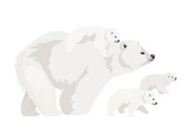 illustrazione vettoriale di colore piatto della famiglia dell'orso polare. cuccioli ambulanti di creature adulte selvatiche del nord. madre di mammifero marino con bambino. personaggi dei cartoni animati isolati animali artici su sfondo bianco