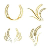 immagini del logo di grano vettore