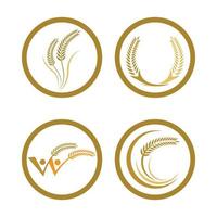 immagini del logo di grano vettore