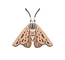 mano dipinto illustrazione con luminosa la farfalla. insetto clipart. decorativo Ali. estate e primavera illustrazione vettore
