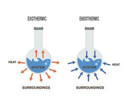 Endotermico e esotermico vettore