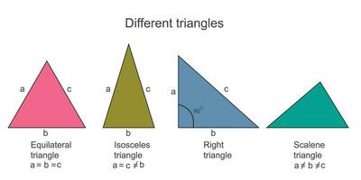 tipi di triangoli. scaleno isoscele equilatero e giusto angolo triangolo. geometrico forme di triangolo. vettore