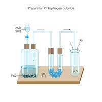 preparazione di idrogeno solfuro nel laboratorio. solforato idrogeno. ferroso solfuro e diluire solforico acido reagire per dare idrogeno solfuro. chimico illustrazione. vettore