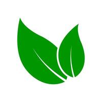 vettore verde foglia eco amichevole lascia icona o logo, coppia foglia icona