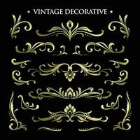 Vintage ▾ decorativo ornamento impostato vettore