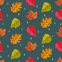 senza soluzione di continuità modello con autunno luminosa le foglie e gocce di pioggia su un' buio verde sfondo. vettore grafica.