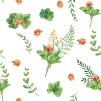 senza soluzione di continuità acquerello modello con cloudberry le foglie e frutti di bosco, felce, verde rami, giallo fiori selvatici. botanico estate mano disegnato illustrazione. può essere Usato per regalo involucro carta, cucina tessile vettore