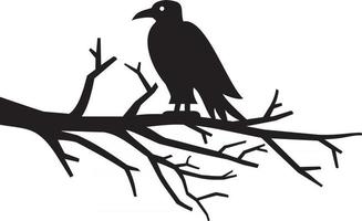 corvo nero piatto