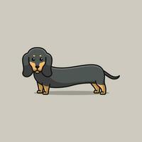 carino bassotto semplice cartone animato vettore illustrazione cane razze natura concetto icona isolato