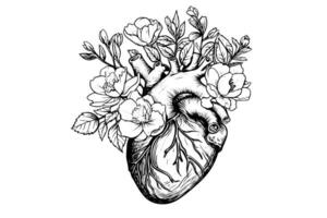 San Valentino giorno carta Vintage ▾ illustrazione. floreale anatomico cuore. vettore illustrazione