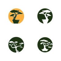 Bonsai logo design. giapponese mini piccolo pianta albero silhouette logo design vettore