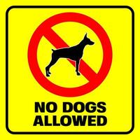 no cani permesso. cane divieto cartello, vettore illustrazione.