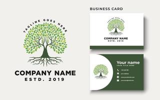 radice dell'albero ispirazione logo design vettore