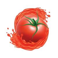 realistico dettagliato 3d rosso pomodoro con spruzzo succo. vettore
