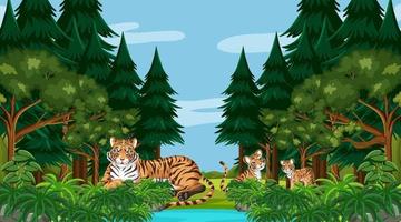 famiglia di tigri nella scena della foresta o della foresta pluviale con molti alberi vettore