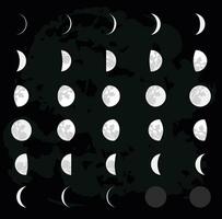 30 giorno Luna fasi e Luna calendario vettore