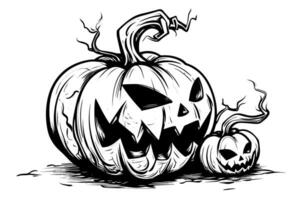 Halloween zucca testa portafortuna incisione inchiostro schizzo mano disegnato vettore illustrazione.
