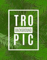 beautifil palm tree leaf silhouette tropicale sfondo illustrazione vettoriale