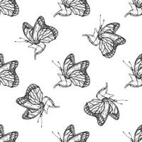 mano disegnato farfalla senza soluzione di continuità modello. monocromatico insetti scarabocchio. nero e bianca Vintage ▾ elementi. vettore schizzo. dettagliato retrò stile.