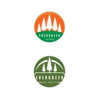 pino abete sempreverde hemlock abete rosso conifera cedro albero di natale logo design vector