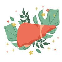 fegato organo. composizione di il fegato su il sfondo di le foglie. vettore illustrazione