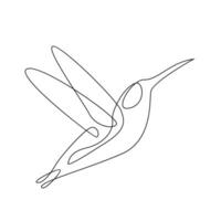 colibrì linea illustrazione vettore
