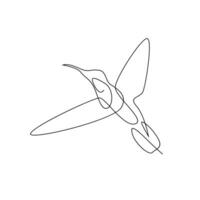 colibrì linea illustrazione vettore