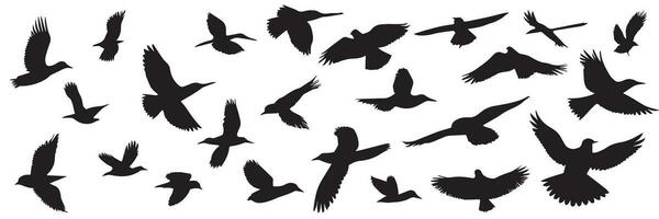 grande impostato di uccelli sagome. mano disegnato uccelli silhouette. vettore illustrazione.