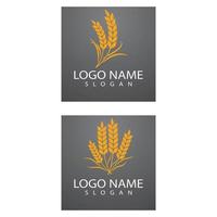 agricoltura frumento logo modello icona vettore design