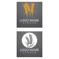 agricoltura frumento logo modello icona vettore design