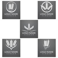 agricoltura frumento logo modello icona vettore design