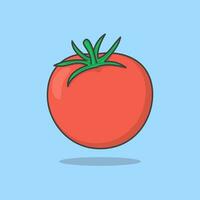 pomodoro cartone animato vettore illustrazione. fresco rosso pomodori piatto icona schema