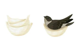 vettore illustrazione, di rondine nido, commestibile nido, per Cinese cucinando, isolato su bianca sfondo.