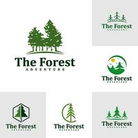 impostato di foresta logo design modello. creativo pino logo vettore illustrazione.