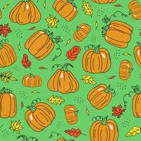 impostato di verdure e autunno foglie, zucca disegni. schema disegno, scarabocchi, colorato macchie. raccolto, cibo. autunno stagione. vacanza arredamento Halloween, ringraziamento. vettore senza soluzione di continuità modello.