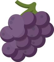 frutta mazzo di viola uva vettore