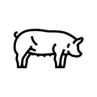 berkshire maiale razza linea icona vettore illustrazione