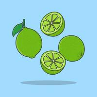 lime frutta cartone animato vettore illustrazione. caduta affettato lime frutta piatto icona schema. volante lime frutta