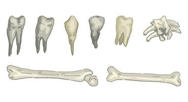 denti e ossatura impostare, spaventoso occulto elementi scarabocchi. Halloween vettore illustrazione nel cartone animato stile. buio tema clipart collezione isolato su bianca.