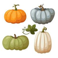 arancia, bianca, blu e verde zucche con foglia e turbine isolato su bianca sfondo, vettore illustrazione nel cartone animato, piatto stile. autunno raccolto. Halloween zucca. ringraziamento zucca.